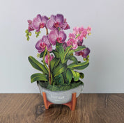 Mini Orchid Oasis Pop Up Greeting Card
