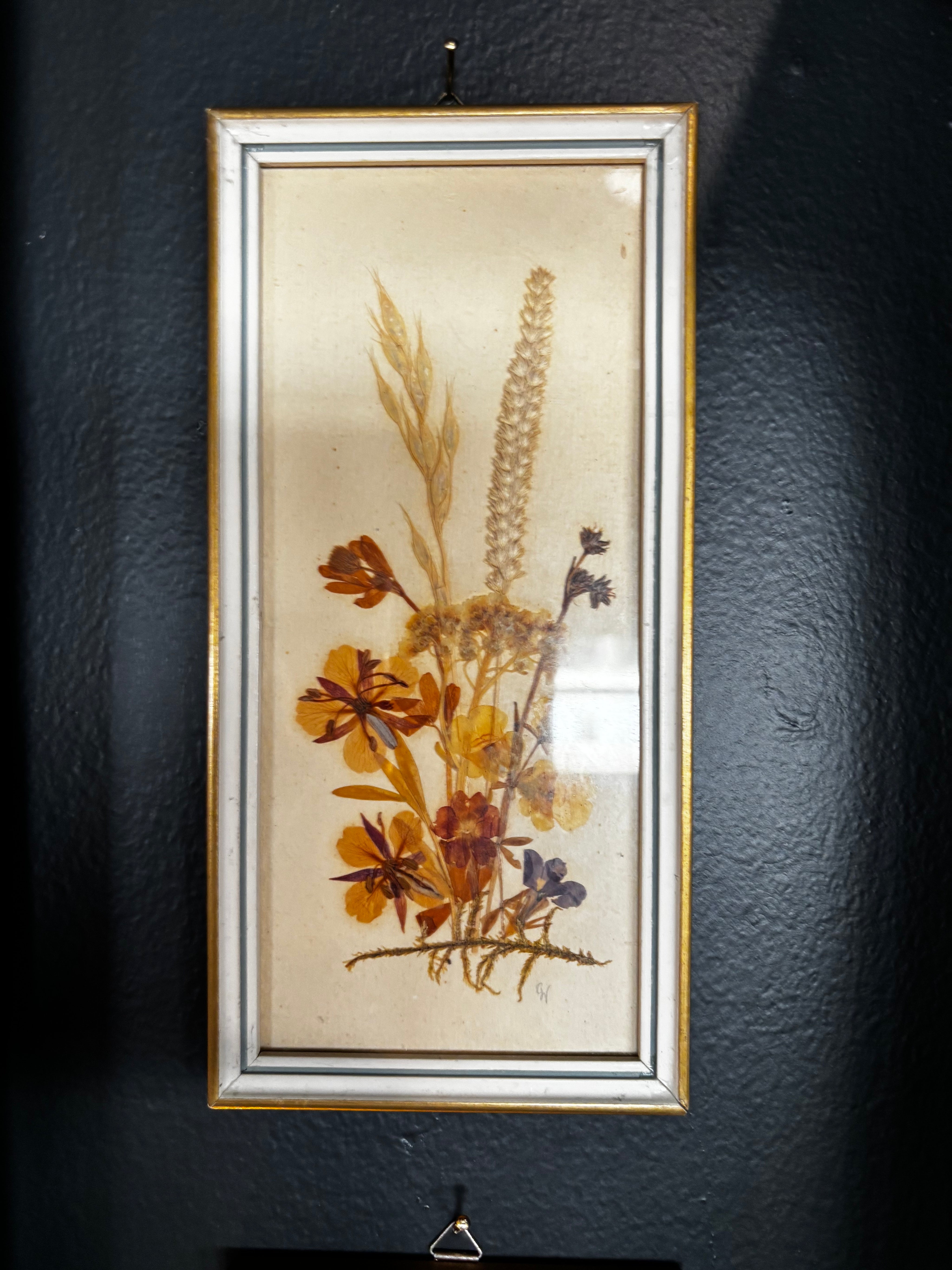 vintage mid-century pressed floral botanical art