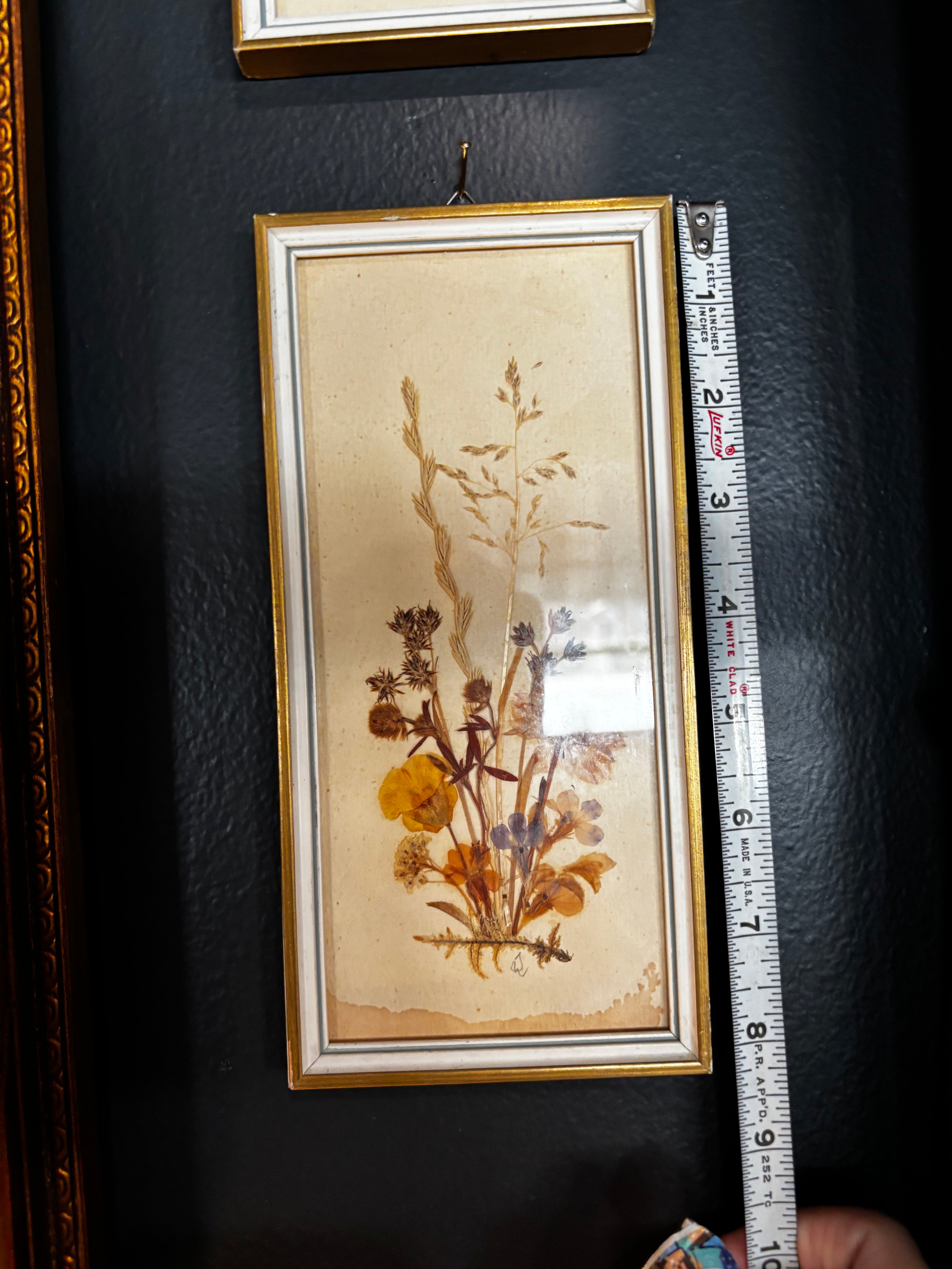 vintage mid-century pressed floral botanical art