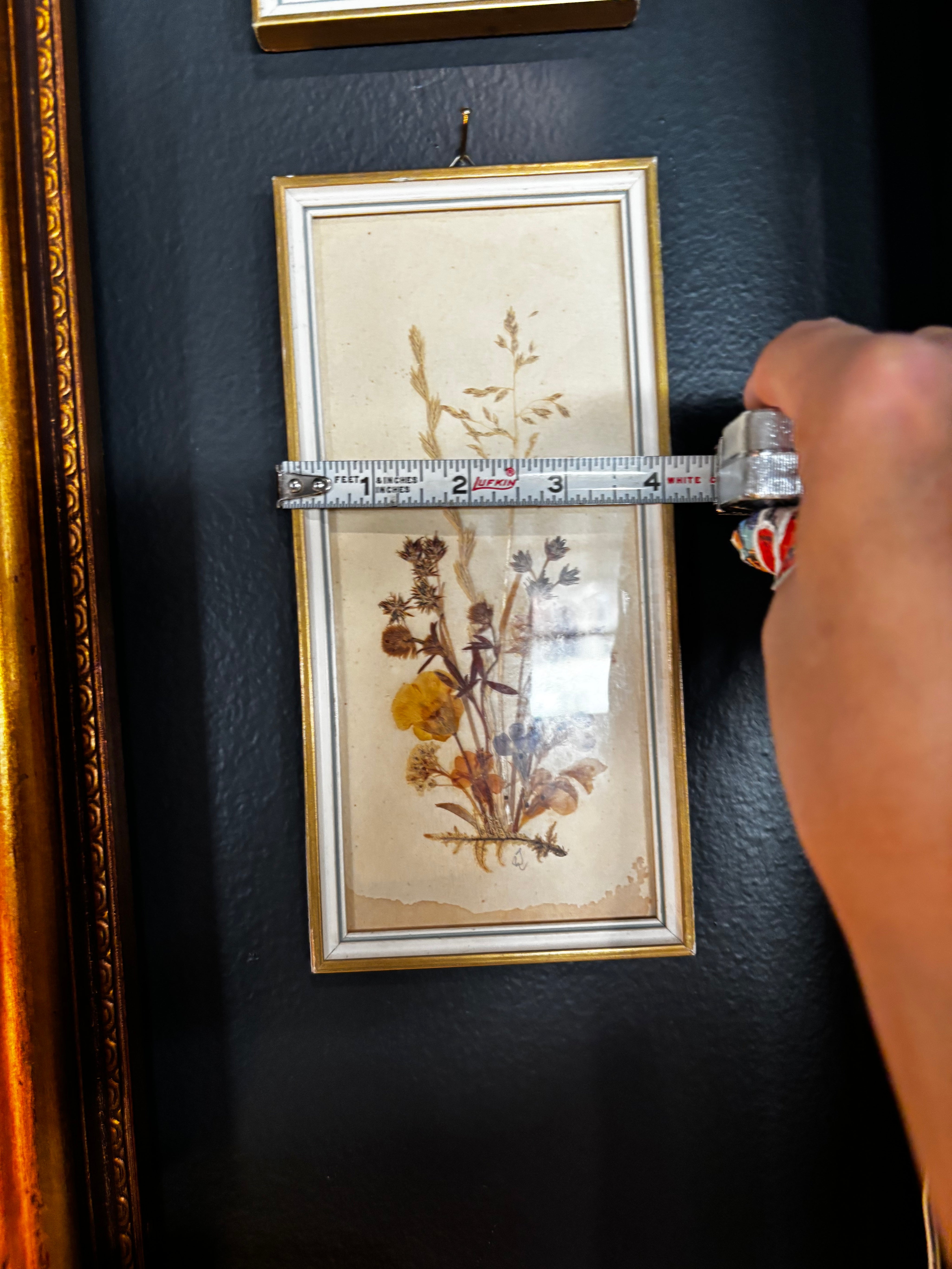 vintage mid-century pressed floral botanical art