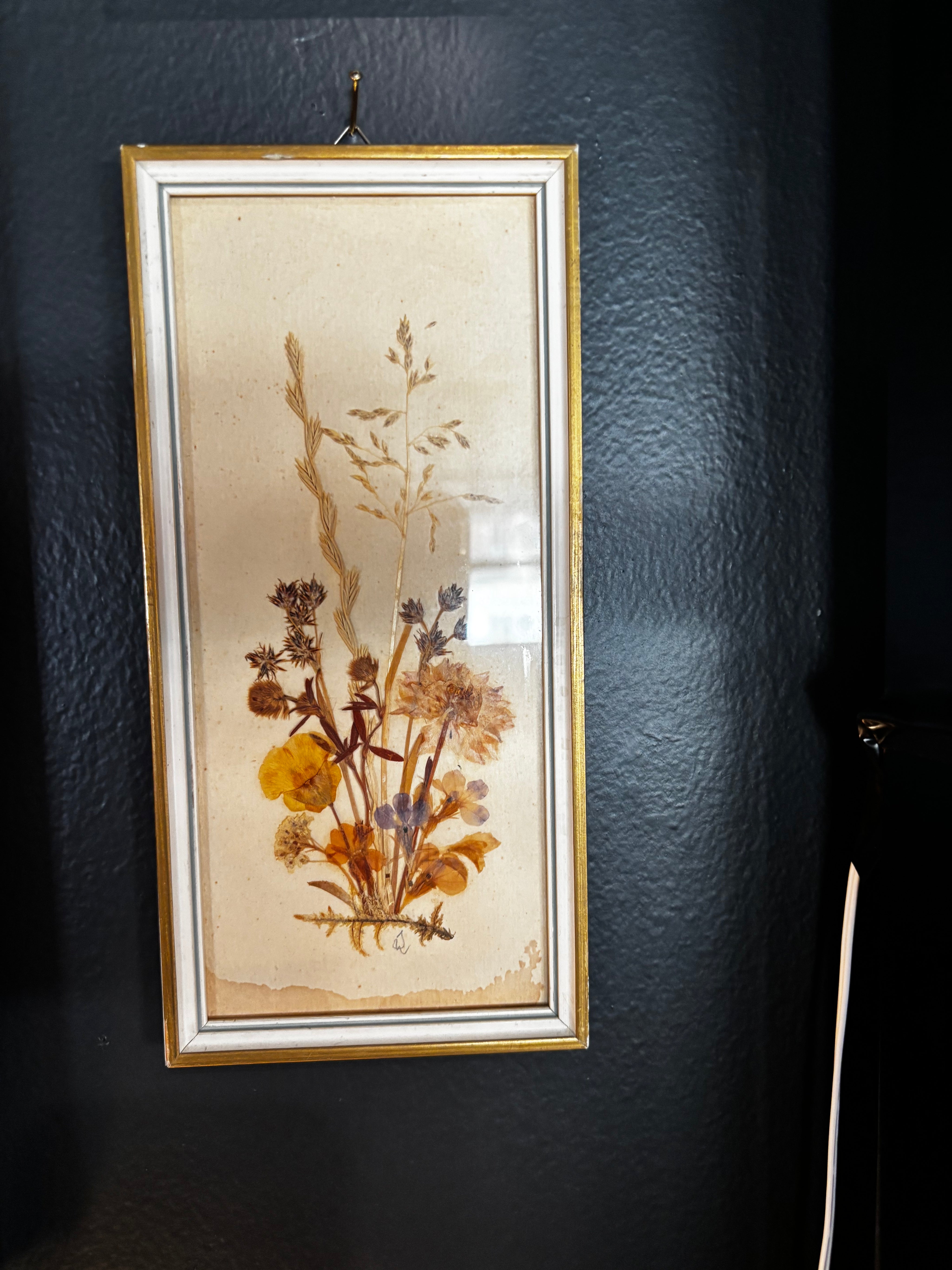 vintage mid-century pressed floral botanical art