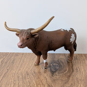 Texas Longhorn Bull
